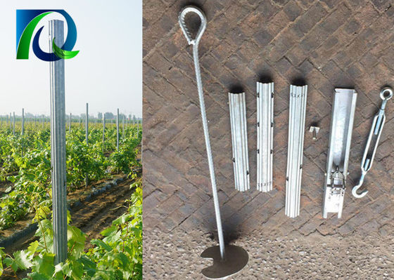 Verzinken Sie überzogene Stärke-Weinberg-Gitter-Posten 275G 1.5MM