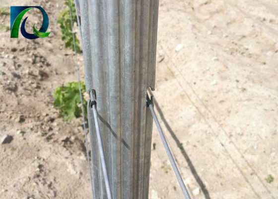 1.5mm 2.0mm 50x40mm Metallweinberg-Gitter-Posten mit h-Löchern