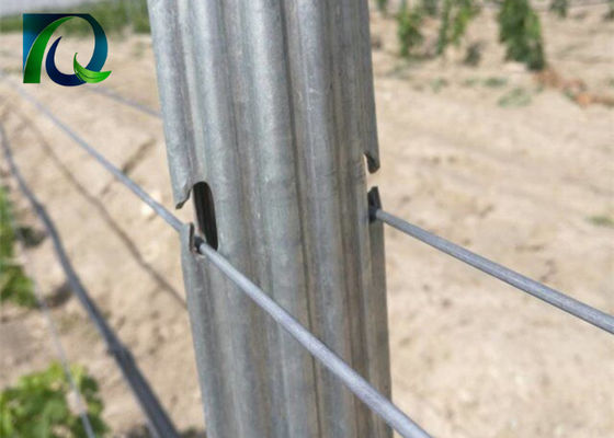 Stahl asphaltieren 1.8m Weinberg-Gitter-Posten für 1.6-3.0MM Draht