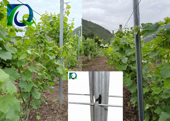 Antirost-Metallweinberg-Gitter-Posten mit H formten Löcher für 1.6-3.0MM Draht