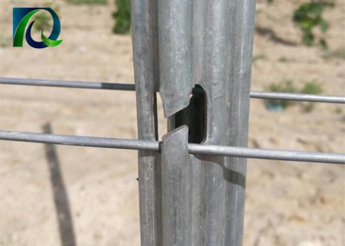 Hochleistungsmetallweinberg-Gitter-Posten mit H-förmige Loch-langer Nutzungsdauer